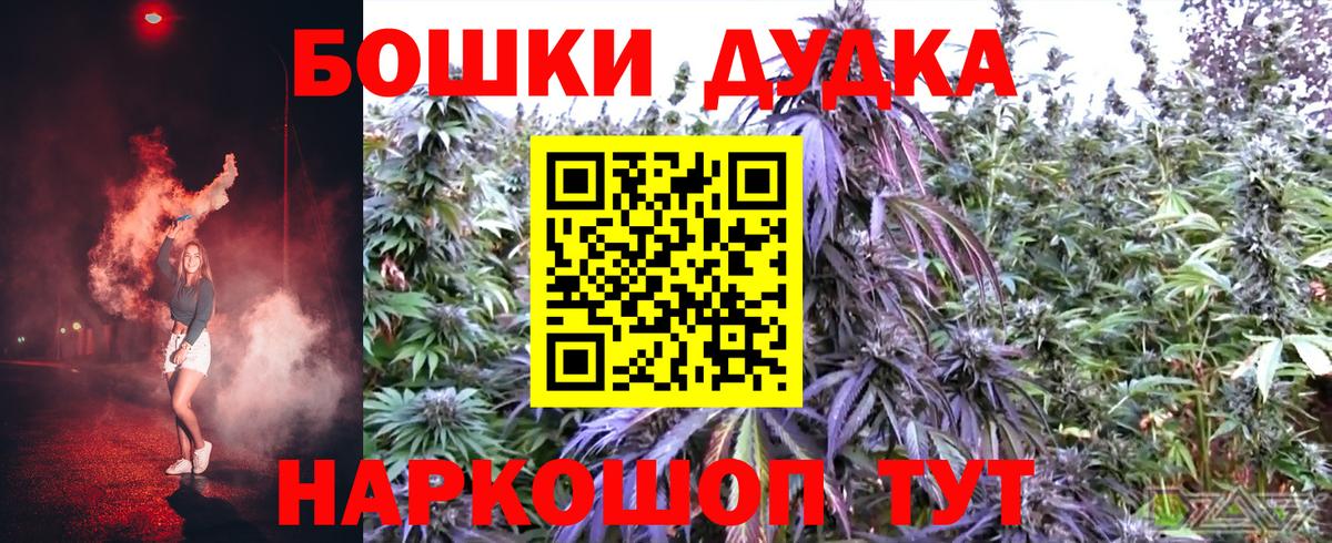Канабис план  Каннабис AK-47  Выборг  Вход с VPN  Бошки Шишки White Widow 