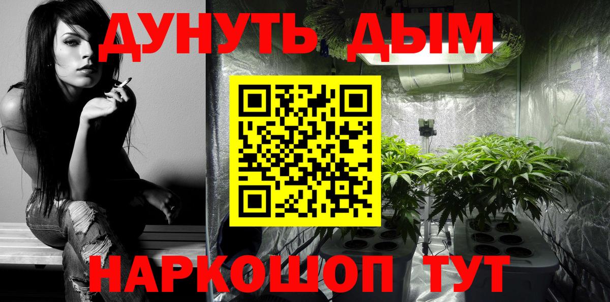 Конопля марихуана Выборг
